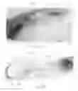 Fig. 72 - Method to capture and support a 3-D contour