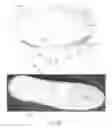 Fig. 77 - Method to capture and support a 3-D contour