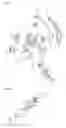 Fig. 09 - WATER SOFTENER