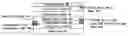 Fig. 01 - MULTI-INDUCED TOUCHPAD