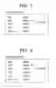 Fig. 02 - Probe, probe set, probe-immobilized carrier, and genetic testing method