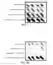 Fig. 02 - Selection of intracellular immunoglobulins
