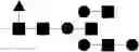 Fig. 167 - NOVEL CELLULAR GLYCAN COMPOSITIONS