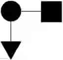Fig. 197 - NOVEL CELLULAR GLYCAN COMPOSITIONS