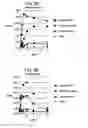 Fig. 03 - Methods and Materials for the Detection of Leishmania Infection