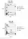 Fig. 04 - Methods and Materials for the Detection of Leishmania Infection