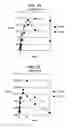 Fig. 05 - Methods and Materials for the Detection of Leishmania Infection