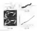 Fig. 07 - Engineered cell growth on polymeric films and biotechnological applications thereof