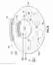 Fig. 07 - Polishing systems