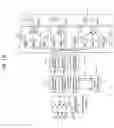 Fig. 10 - Wireless communication device and method for controlling beam to be transmitted