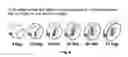 Fig. 08 - Balanced circular free weights
