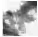 Fig. 01 - Iron oxide containing precipitated crystalline titanium dioxide and process for the manufacture thereof