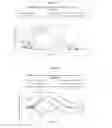 Fig. 11 - Oral insulin therapies and protocol