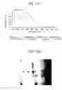 Fig. 116 - Methods of using OSK1 peptide analogs