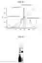 Fig. 120 - Methods of using OSK1 peptide analogs