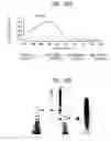 Fig. 69 - Methods of using OSK1 peptide analogs
