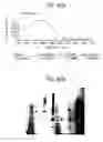 Fig. 71 - Methods of using OSK1 peptide analogs