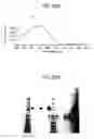 Fig. 88 - Methods of using OSK1 peptide analogs