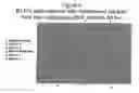Fig. 06 - BIVALENT ErbB LIGAND BINDING MOLECULES AND METHODS FOR THEIR PREPARATION AND USE