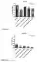 Fig. 08 - Compounds and their effects on feeding behaviour