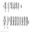 Fig. 04 - Materials and methods involving hybrid vascular endothelial growth factor DNAs and proteins