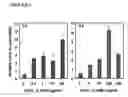 Fig. 07 - COMPOSITIONS AND METHODS FOR PROMOTING TISSUE REPAIR AND WOUND HEALING
