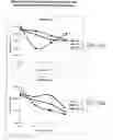 Fig. 11 - Molecules Preferentially Associated with Effector T Cells or Regulatory T Cells and Methods of Their Use