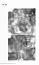 Fig. 03 - Use of SH2 STAT3/STAT1 peptidomimetics as anticancer drugs