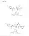 Fig. 04 - Use of SH2 STAT3/STAT1 peptidomimetics as anticancer drugs