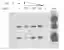 Fig. 01 - High Throughput Screening Method of Binding Inhibitor Between caspase3 and XIAP and Binding Inhibitor Screened Thereby