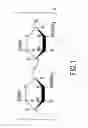 Fig. 02 - COMPOSITIONS AND METHODS FOR MODULATION OF VASCULAR STRUCTURE AND/OR FUNCTION
