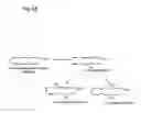 Fig. 07 - Long Chain Polyunsaturated Fatty Acids and Methods of Making and Using the Same