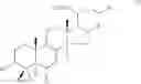 Fig. 02 - PHARMACEUTICAL COMPOSITION AND EXTRACT OF PORIA FOR TREATING A DISEASE INDUCED FROM IMMUNE DISORDER