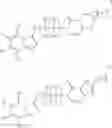 Fig. 29 - Fused heterocyclic derivatives and methods of use