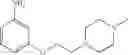 Fig. 210 - Pyrrolopyrimidine compounds and their uses