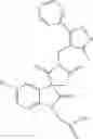 Fig. 191 - Tricyclic spiro derivatives as CRTH2 modulators