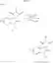 Fig. 27 - Tricyclic spiro derivatives as CRTH2 modulators