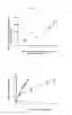 Fig. 02 - Methods for detection of promoter polymorphism in a UGT gene promoter