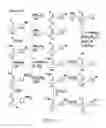 Fig. 03 - COMPOUNDS AND METHODS FOR PROMOTING SMOKING CESSATION