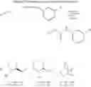 Fig. 19 - Cytisine and Acetylcholine Analogs and Methods of Treating Mood Disorders