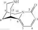 Fig. 23 - Cytisine and Acetylcholine Analogs and Methods of Treating Mood Disorders