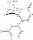 Fig. 40 - Cytisine and Acetylcholine Analogs and Methods of Treating Mood Disorders