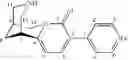 Fig. 46 - Cytisine and Acetylcholine Analogs and Methods of Treating Mood Disorders