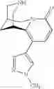 Fig. 96 - Cytisine and Acetylcholine Analogs and Methods of Treating Mood Disorders