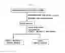 Fig. 02 - Pharmaceutical composition comprising shikonin derivatives from lithospermum erythrorhizo dor treating or preventing diabetes mellitus and the use thereof
