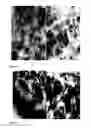 Fig. 05 - Method for forming flame-retardant clay-polyolefin composites
