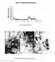 Fig. 06 - Method for forming flame-retardant clay-polyolefin composites