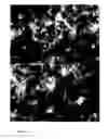 Fig. 07 - Method for forming flame-retardant clay-polyolefin composites