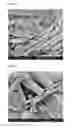 Fig. 02 - Process for Improving the Flow Properties of Polymer Melts