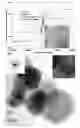 Fig. 01 - Method of fabrication of nanoparticulate composites using monomer stabilization